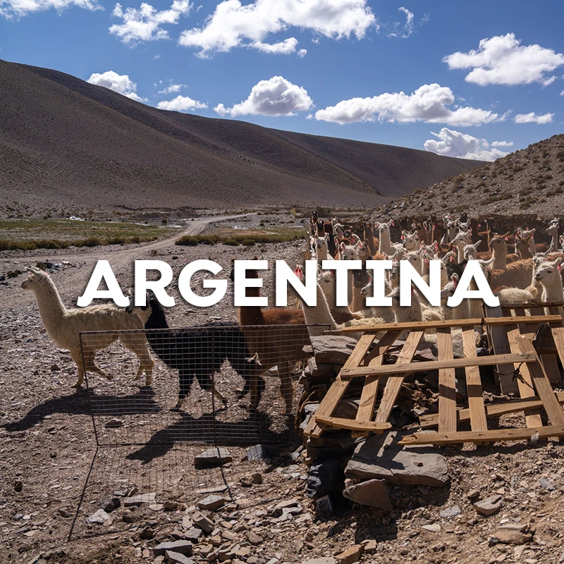 argentina-b-en