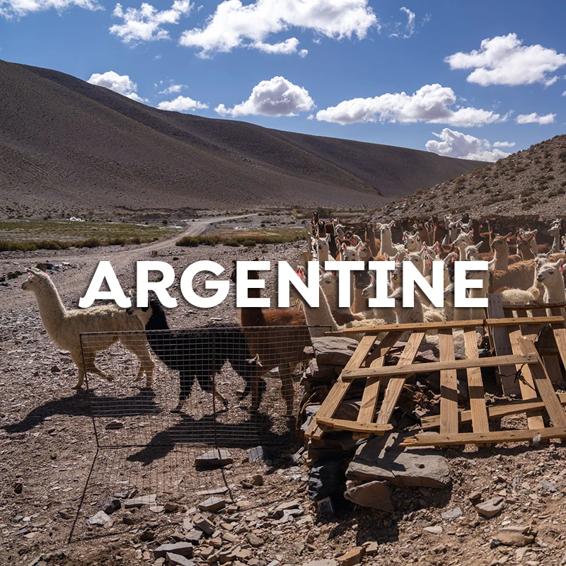 argentina-b-fr