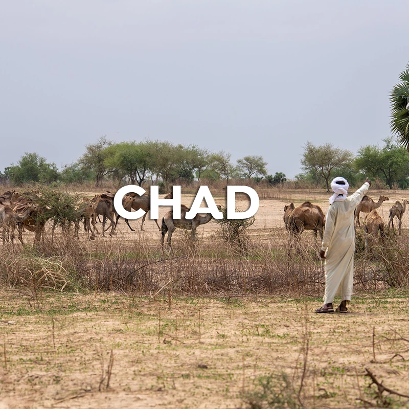 chad-en