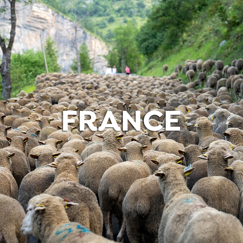 france-b-fr