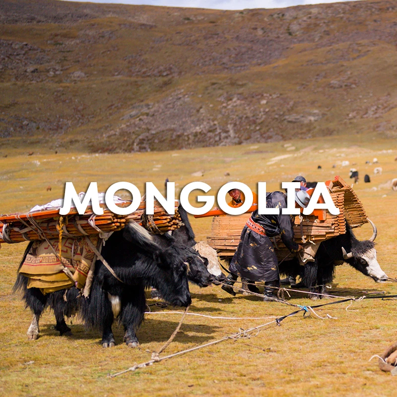 mongolia-b-en