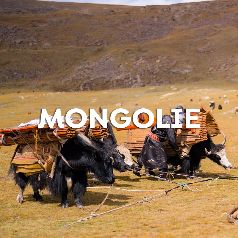 mongolie-b-fr