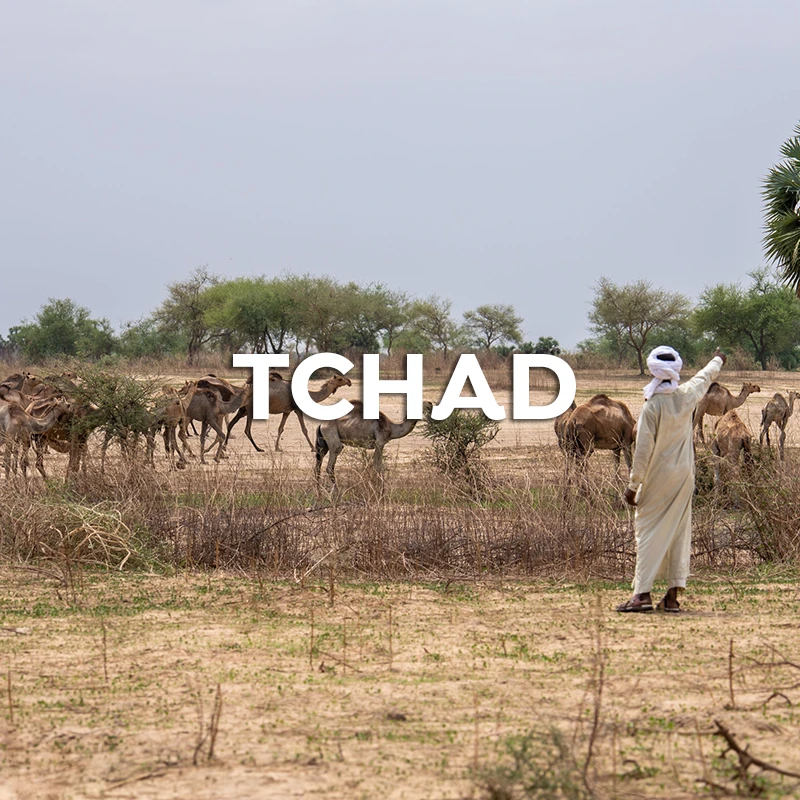 tchad-b-fr